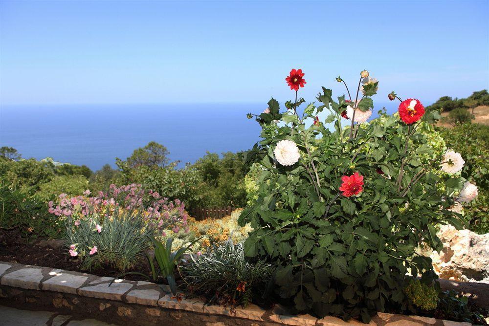 Panorama Сasa de vacaciones *
