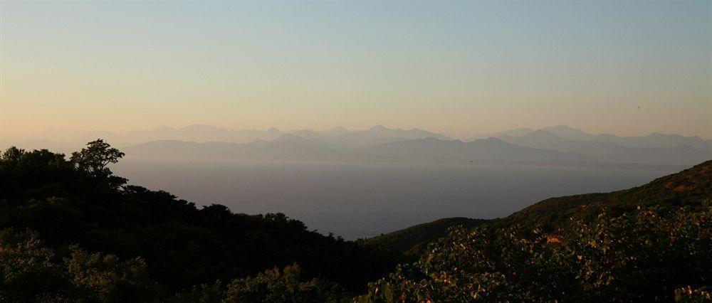 Сasa de vacaciones Panorama